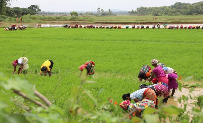 Project Gallery Image